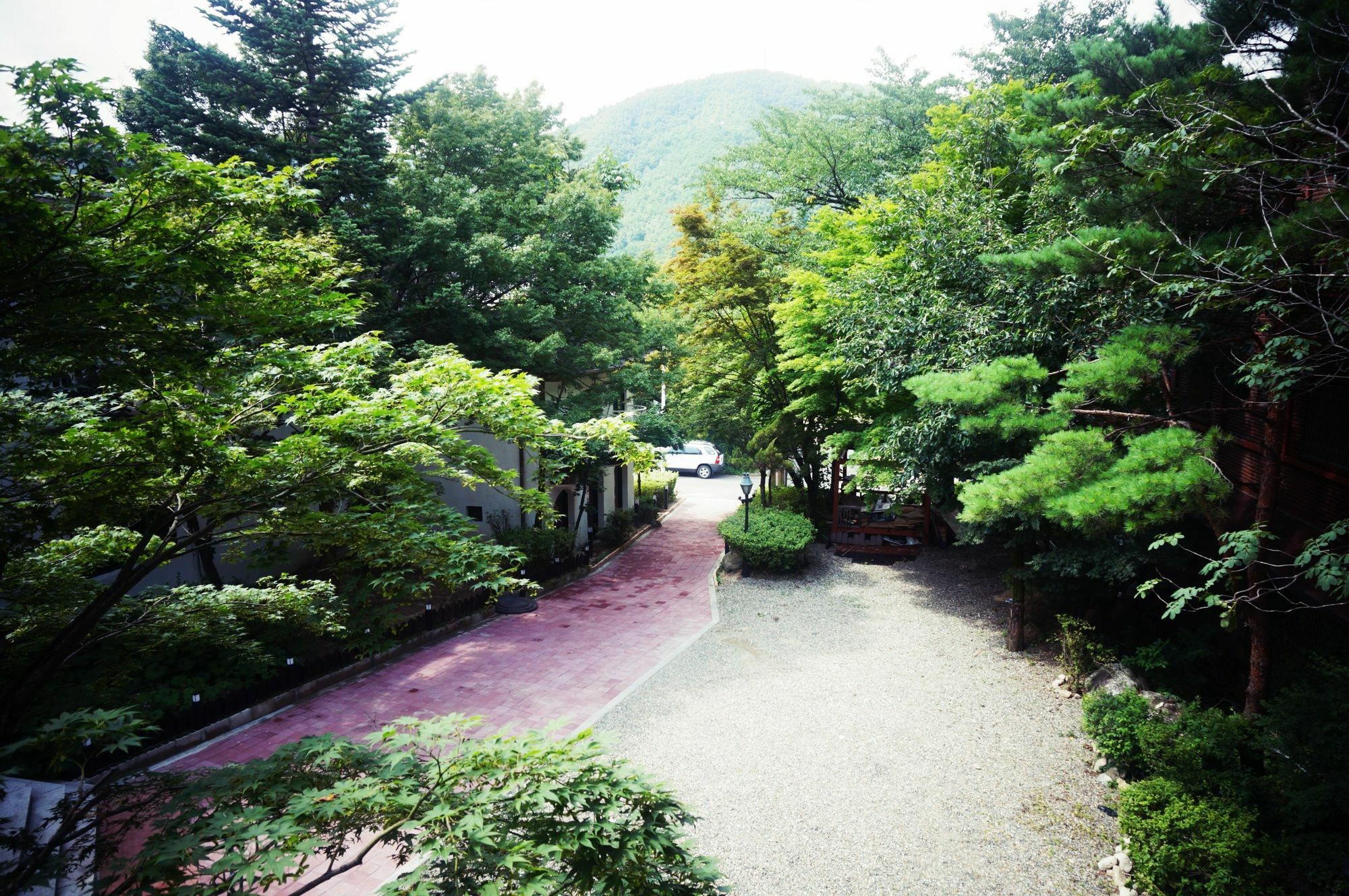 Hotel White House Sokcho Zewnętrze zdjęcie